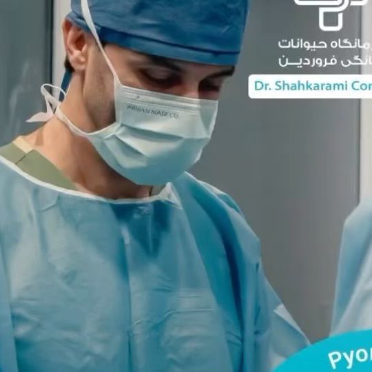 Dr. Soroush Shahkarami, DVM