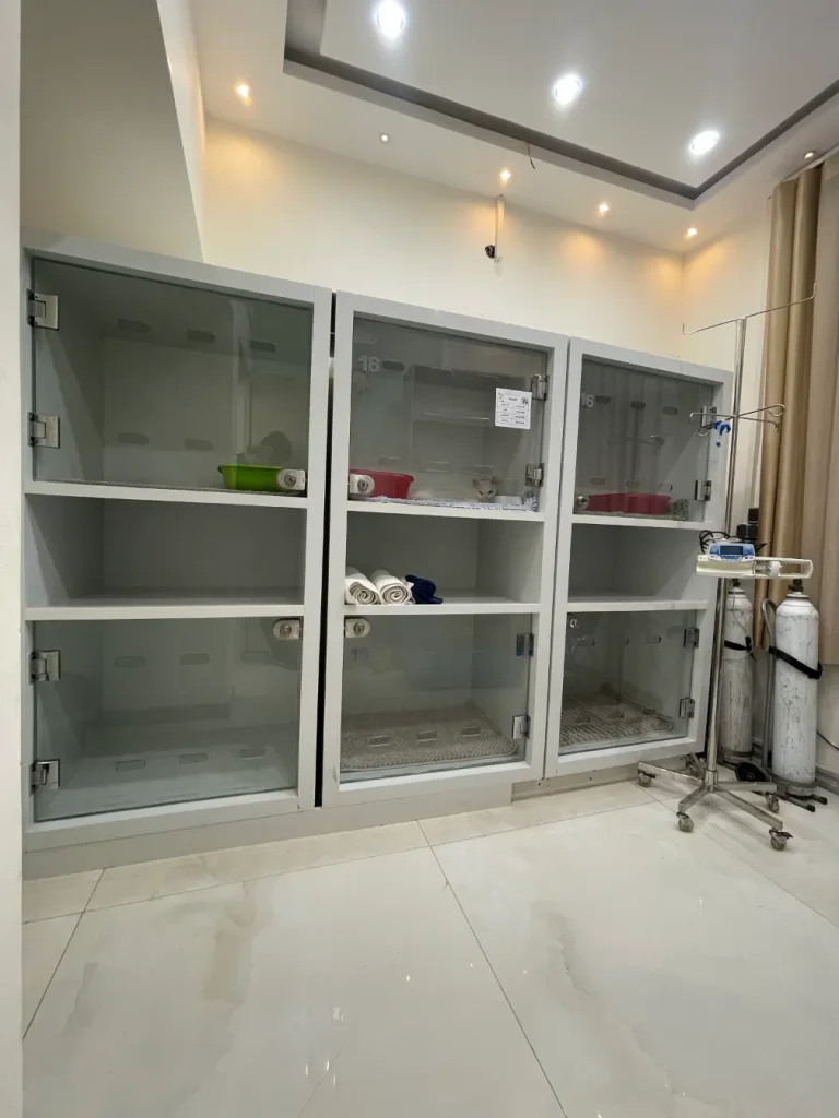 بستری و مراقبت بعد از جراحی های ارتوپدی
