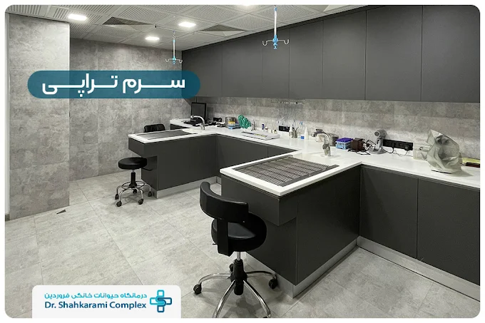 کلینیک دامپزشکی فروردین شیراز - فضای داخلی درمانگاه